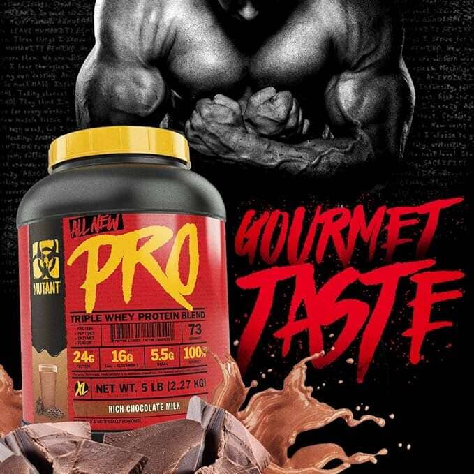 Triple Whey Protein Powder