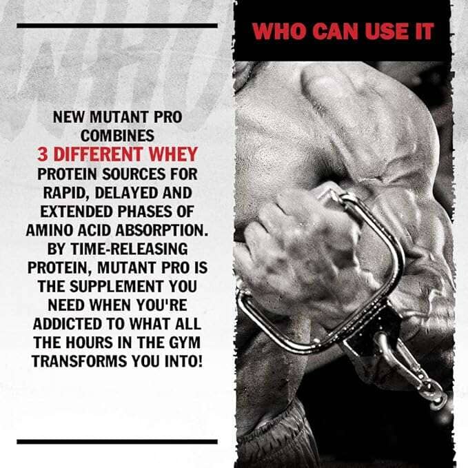 Triple Whey Protein Powder