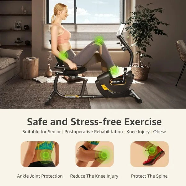 Recumbent Magnetic Exercise Bike for Adults