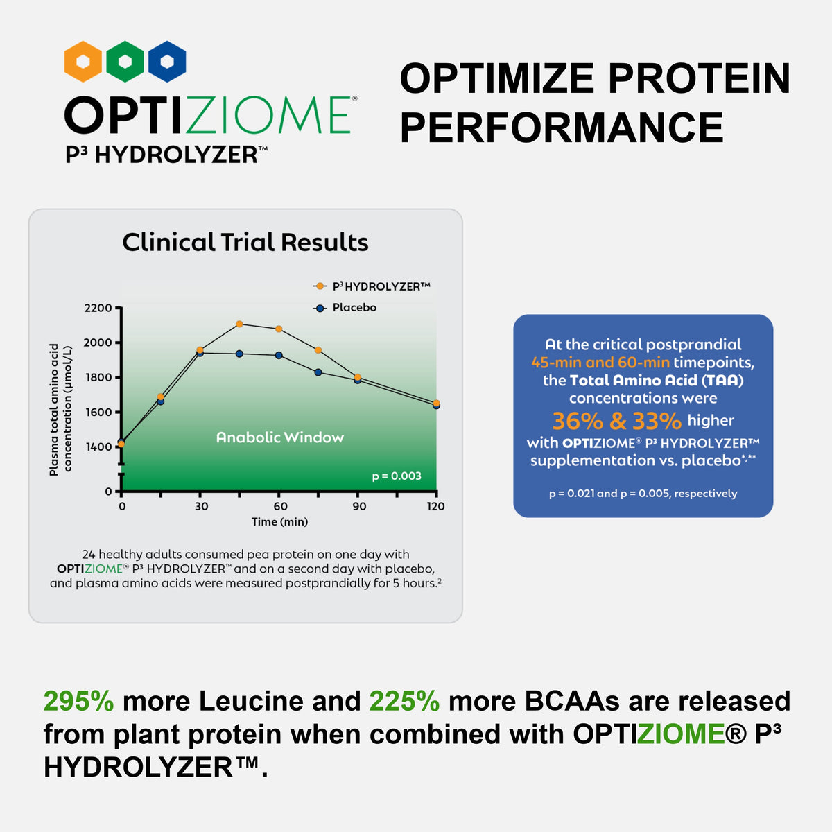 Plant-Based Sport Protein Powder Supplement