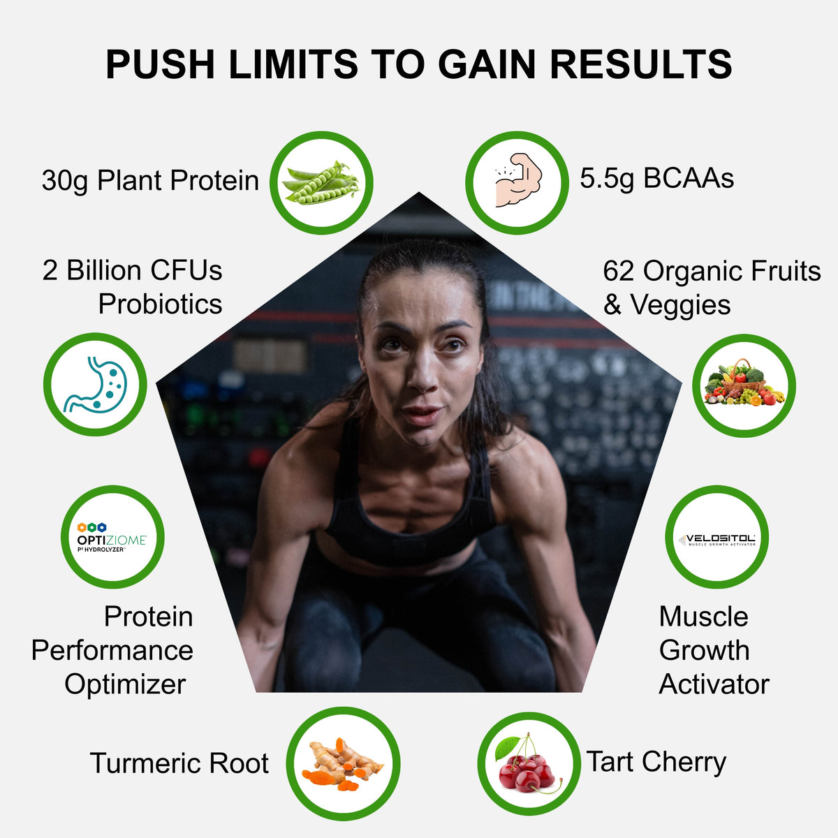Plant-Based Sport Protein Powder Supplement